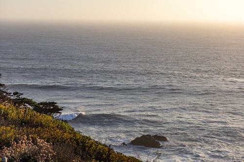 Sea, Coastline and Horizon