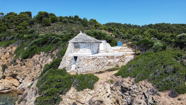 Unearthing the Rich History of Taylor Mountain Regional Park in Sonoma County
