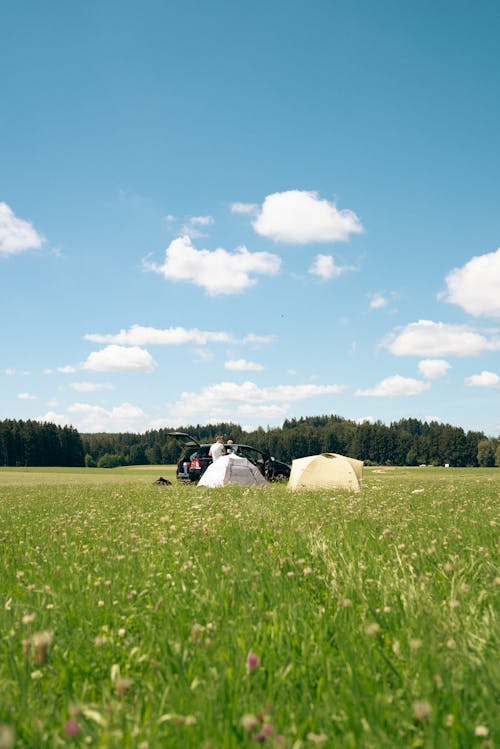 乾草地, 國家, 夏天 的 免费素材图片