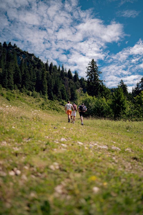 People Hiking on Green Mountain Under Blue Sky