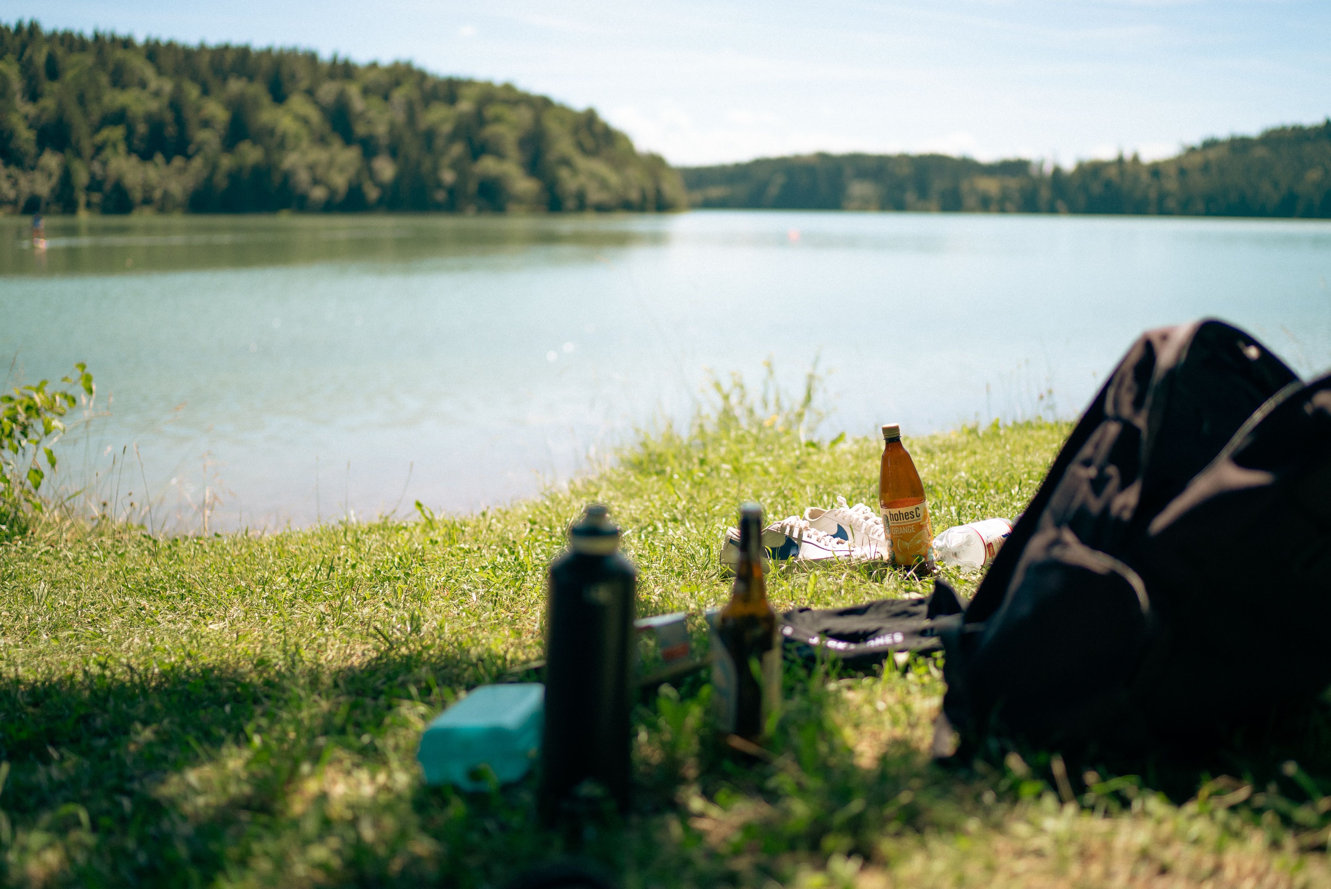 Enjoy a summer picnic by a tranquil German lake surrounded by lush greenery.