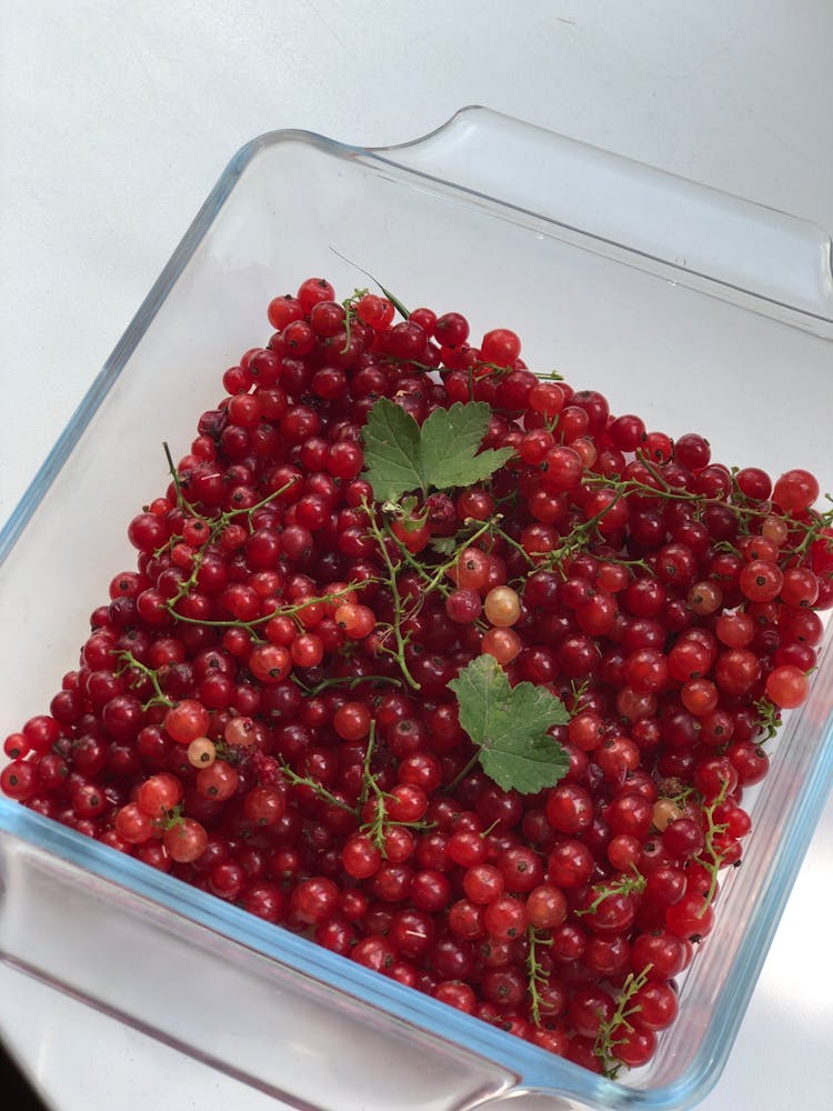 Close-Up Photo Of Red Grapes On Pyrex