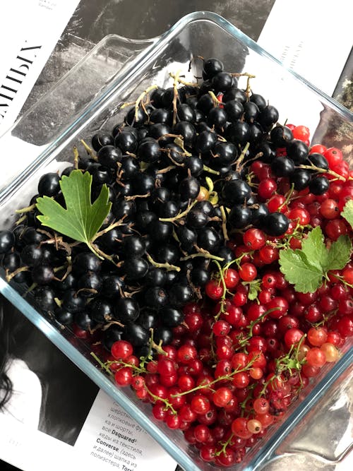 漿果, 葡萄乾 的 免费素材图片