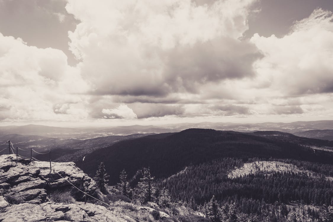 Green Trees on Mountain Under Cloudy Sky