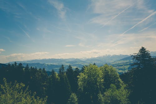Kostnadsfria Kostnadsfri bild av bergen, bergskedja, grön Stock foto