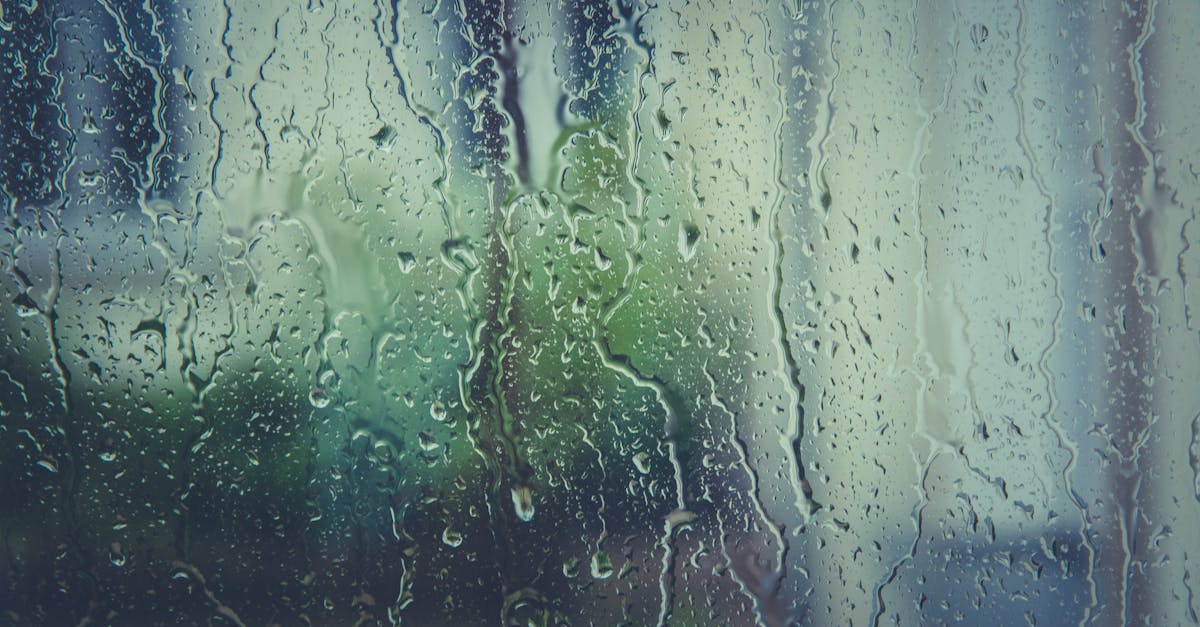 Free stock photo of rain, raindrops, rainy