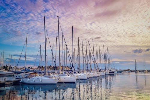 Motorboats Docked at the Marina