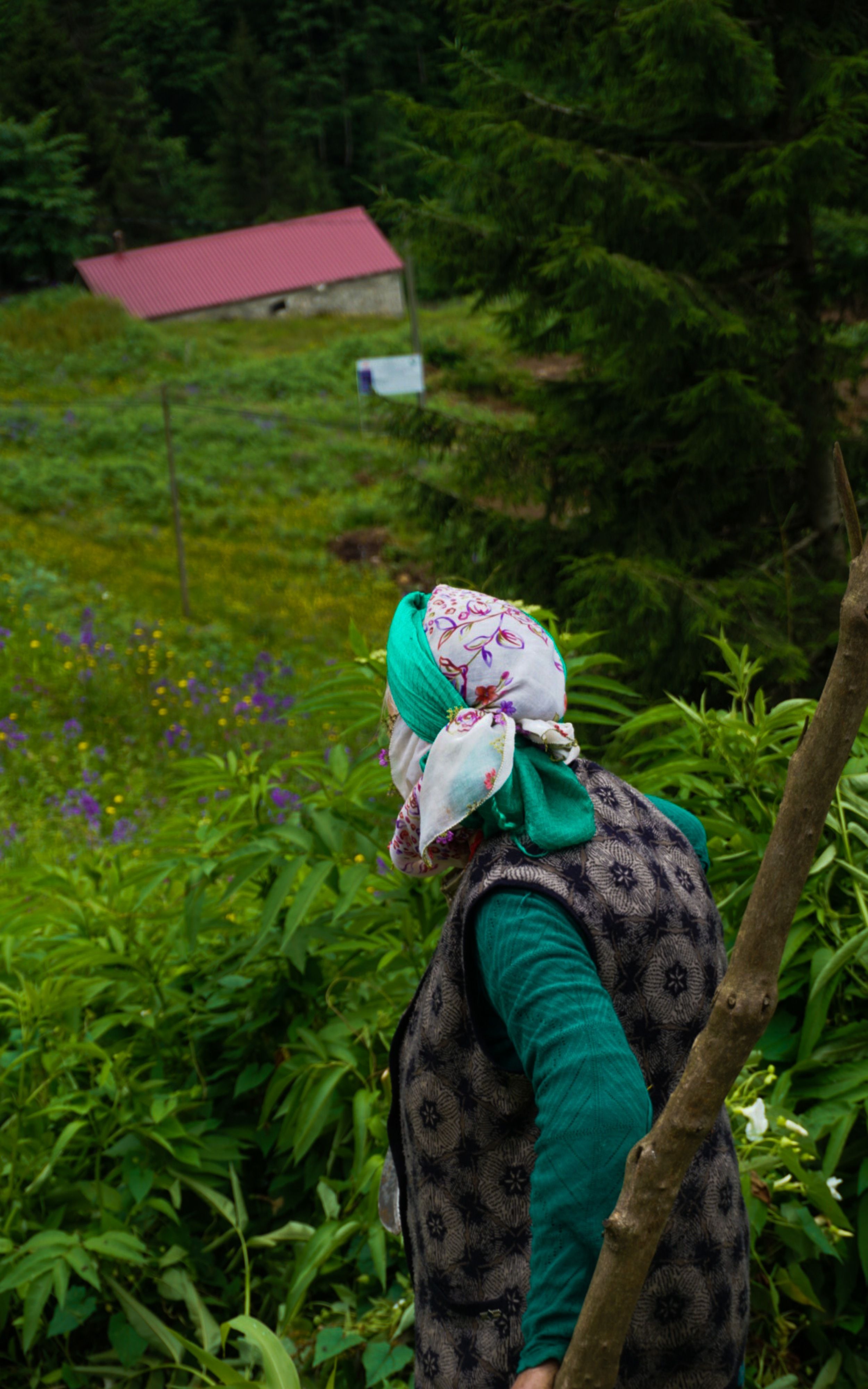 A woman in traditional attire stands amidst greenery in Rize, Turkey.