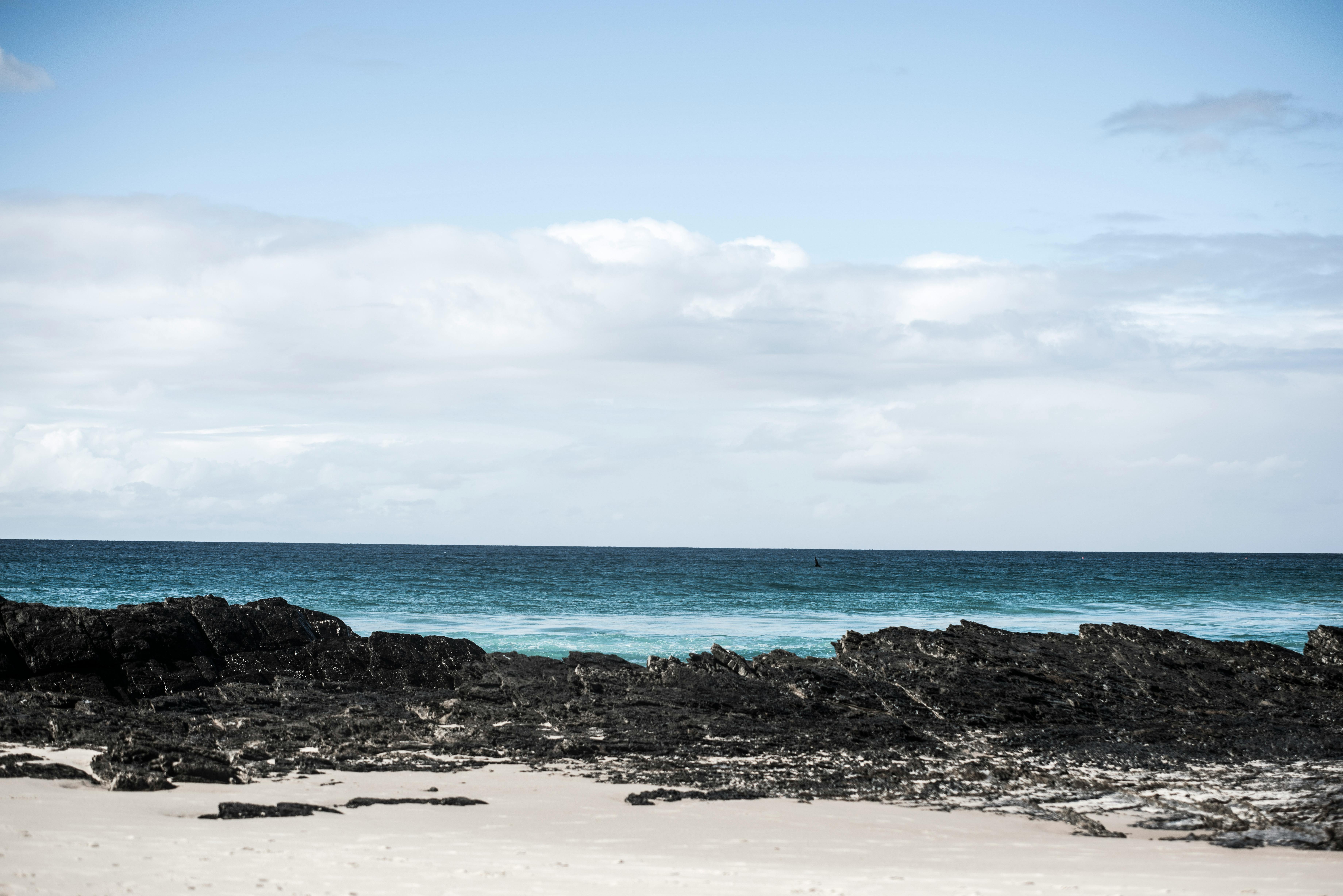 Kostenloses Foto zum Thema am meer, australien, blaues wasser