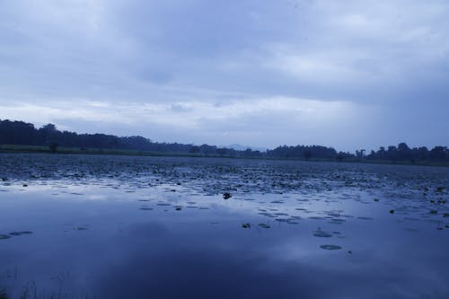 villuwa lake