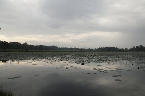 villuwa lake