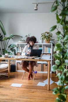 Woman with curly hair working on a laptop at home office with indoor plants.