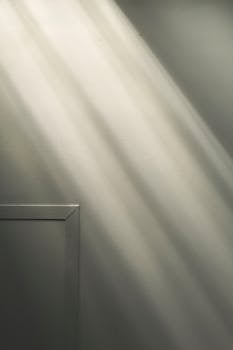 极简主义的墙壁上，自然光投下柔和的阴影，营造出宁静的氛围