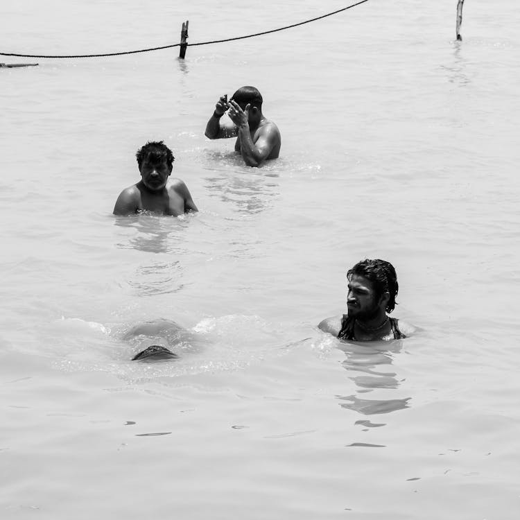 People in Water With Black Labrador Retriever