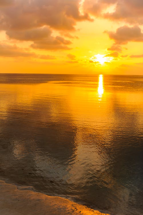 Бесплатное стоковое фото с берег, вертикальный выстрел, восход