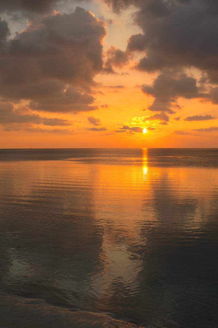 Ocean During Sunset