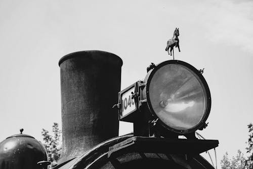 Безкоштовне стокове фото на тему «кінь, локомотив, надворі»