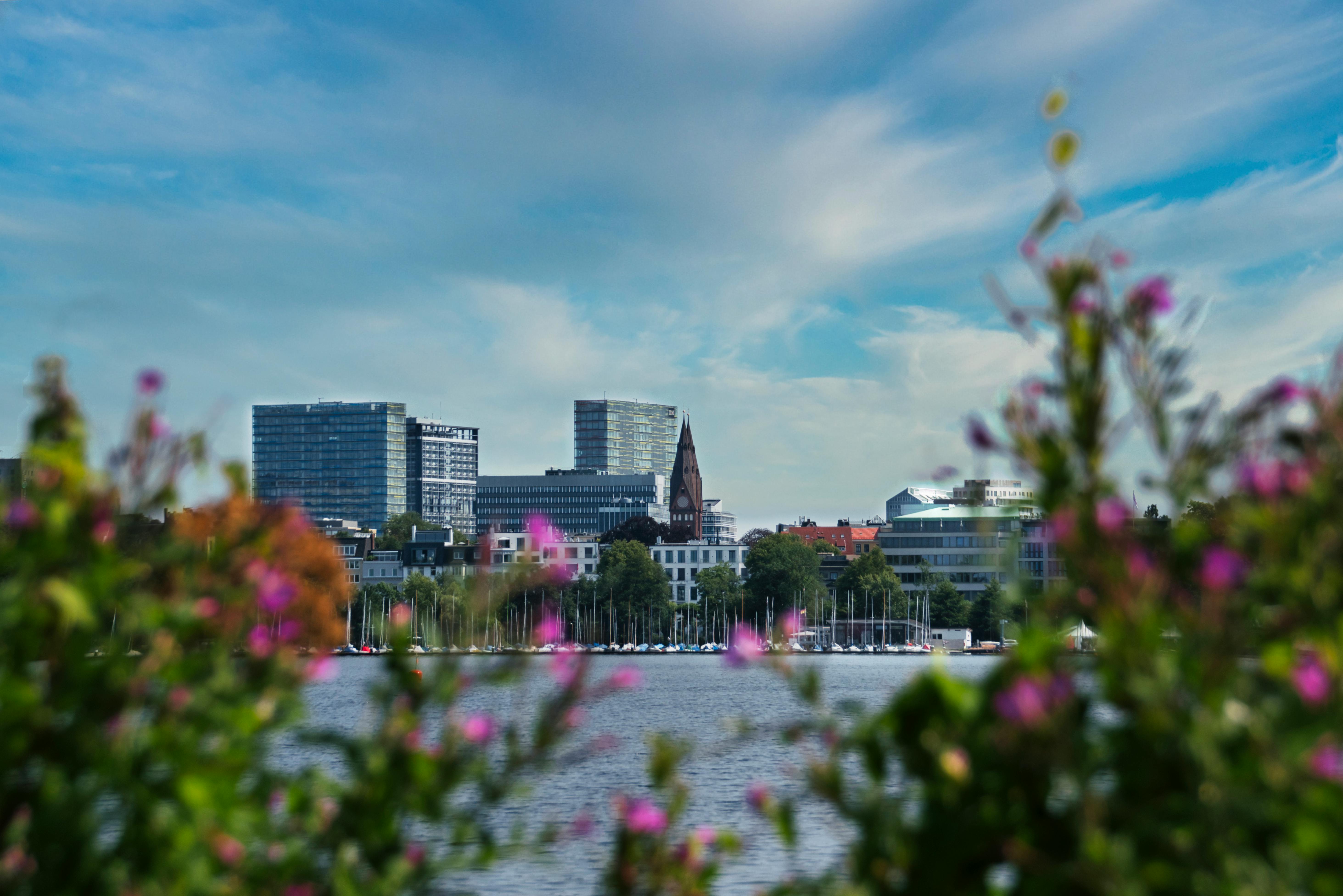 Flowers Skyline Photos Download The Best Free Flowers Skyline Stock Flowers Skyline Photos Download The Best Free Flowers Skyline Stock