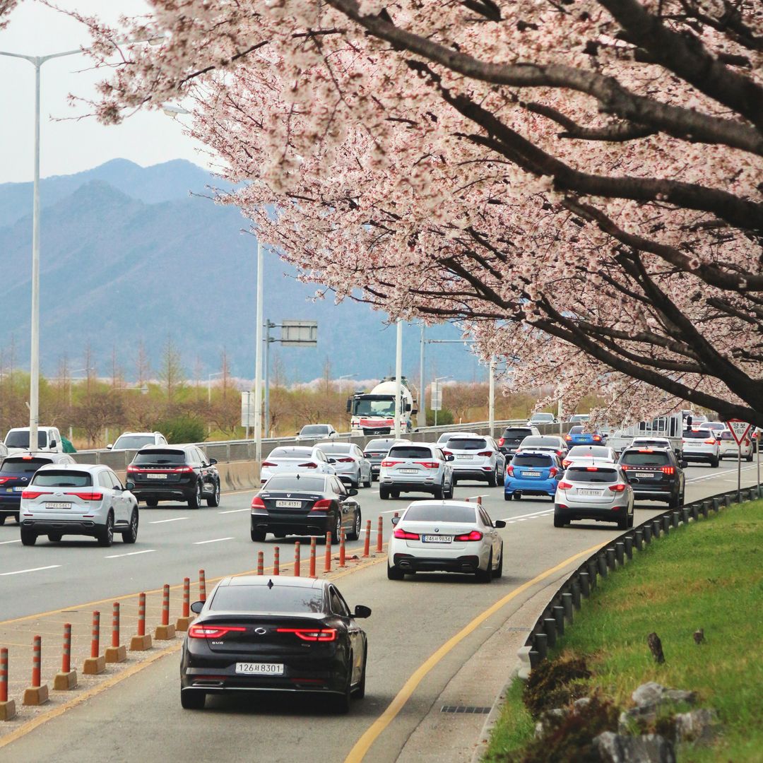Navigating South Korea E-9 Quota Changes and Hiring Requirements for Industrial Employers