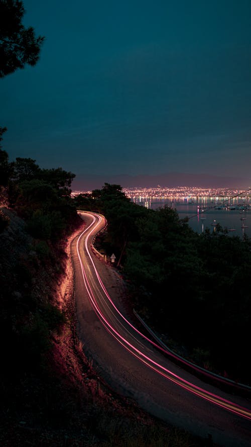 Free Road Between Trees during Night Time Stock Photo