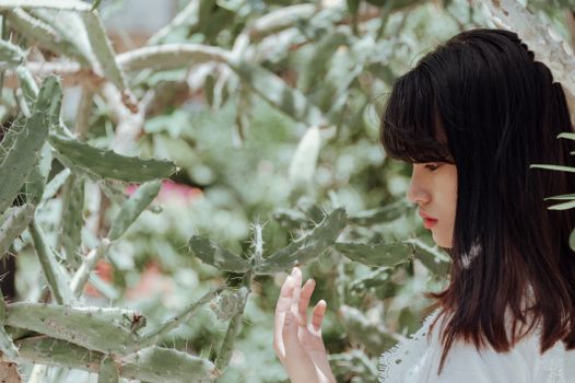 一名年轻女子在宁静、阳光明媚的花园中，正轻轻地与一株仙人掌互动