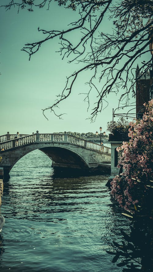 Gratis stockfoto met brug, bruggen, h2o