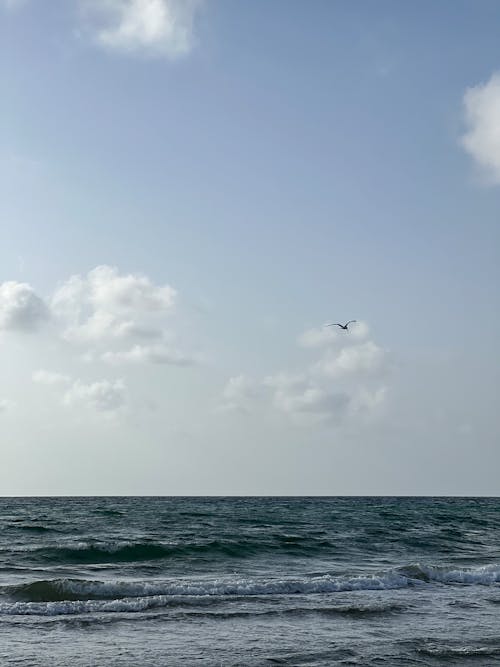 Kostenloses Stock Foto zu absturz, meeresküste, strand