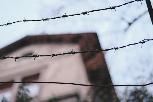 Close-Up Shot of Barbed Wire