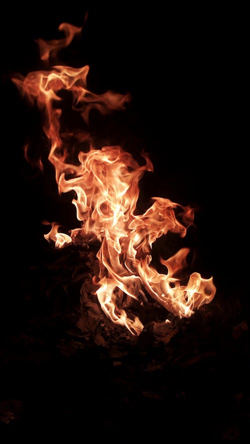 grátis Foto profissional grátis de ardente, chamas, escuro Foto profissional