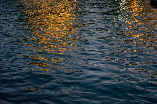 See Rocks Through Water Rocks on Seabed Seen Through Water · Free Stock Photo