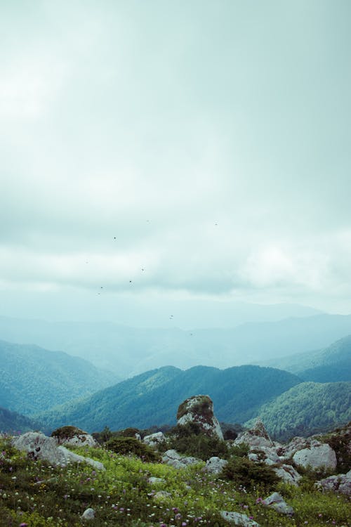 Scenic View of Mountains