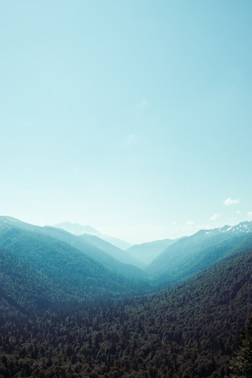Free Beautiful mountain vista with lush green forest under a clear blue sky. Stock Photo