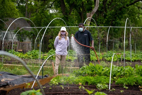 Man and Woman Watering the Plants