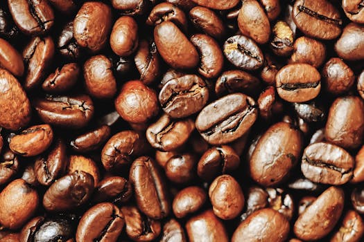 Detailed view of rich, roasted coffee beans showcasing their texture and aroma.