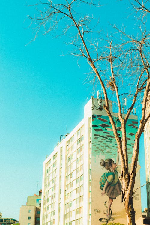 Low-Angle Shot of a Bare Tree near Concrete Building under the Blue Sky