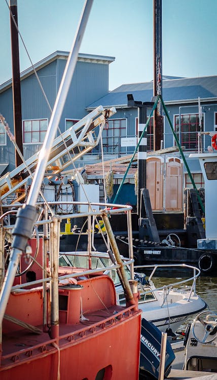 Foto profissional grátis de barcos, botes, cais