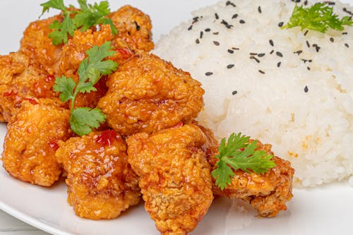 Close-Up Photograph of a Plate with Chicken and Rice