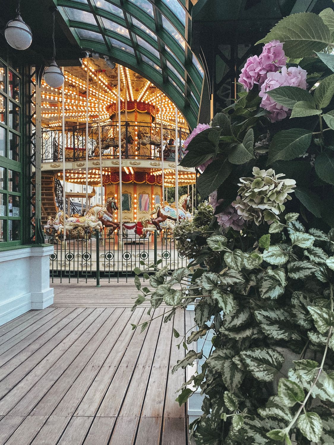 Flowering Plants Beside a Carousel · Free Stock Photo