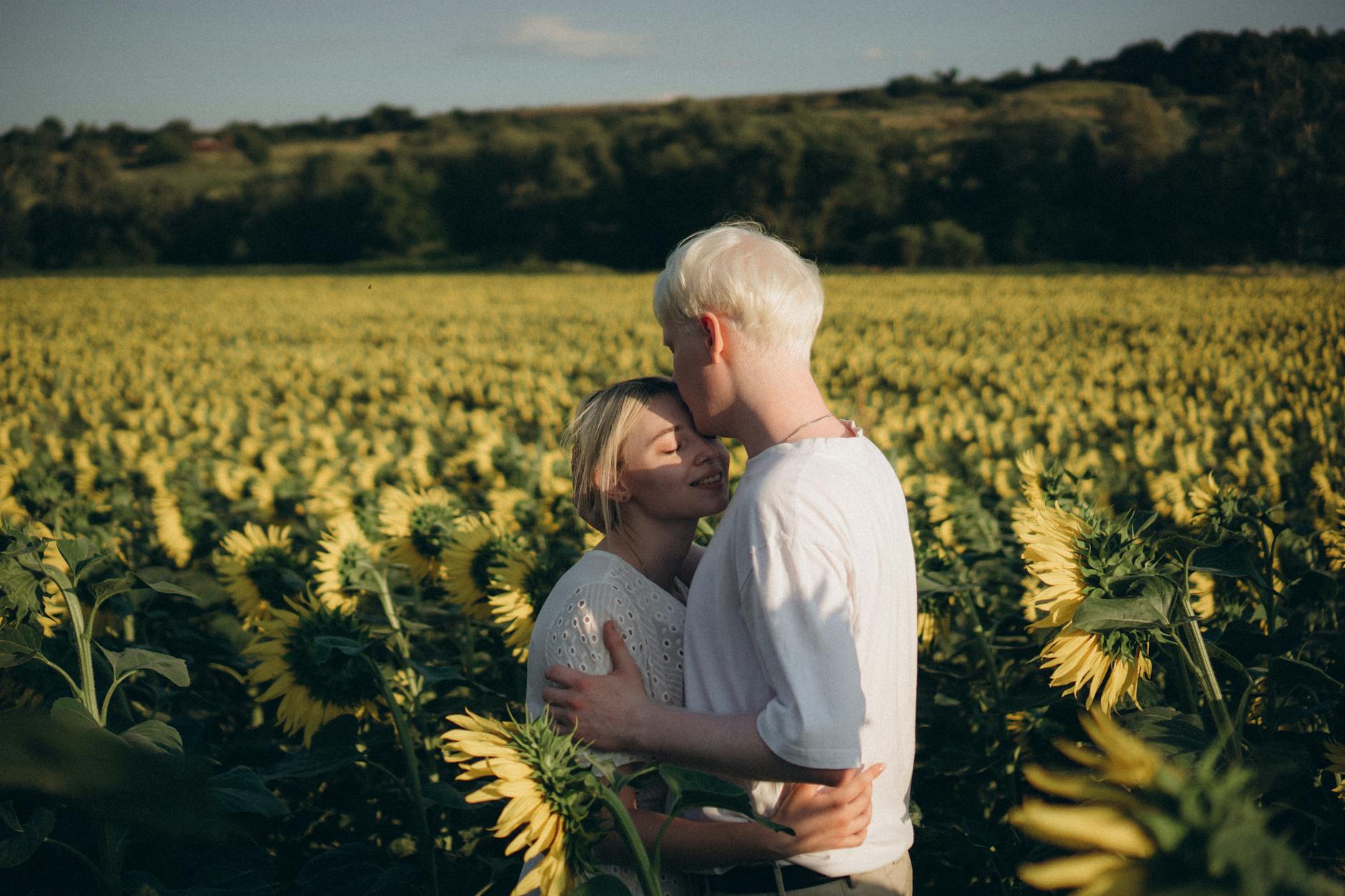 Couple Hugging in Sunflowers Field