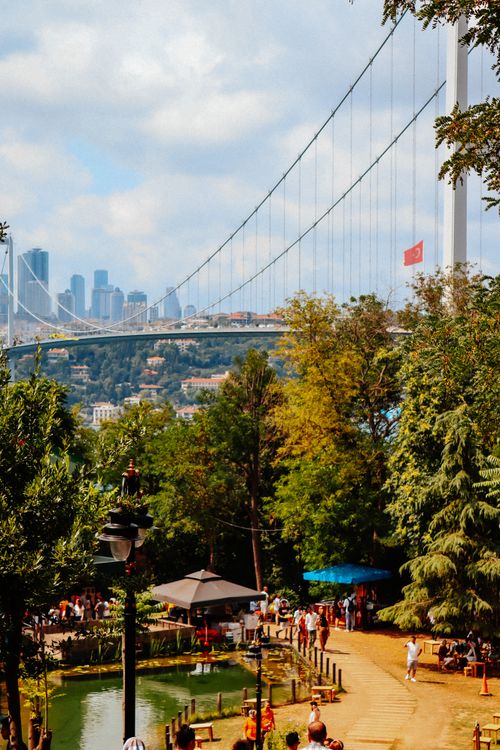 Free Scenic view of the Bosphorus Bridge in Istanbul, surrounded by greenery and city skyline. Stock Photo