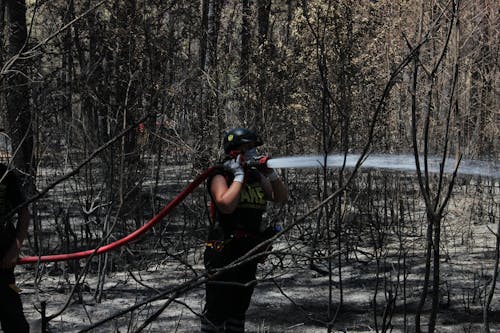 Free Person Holding a Fire Hose in the Woods Stock Photo