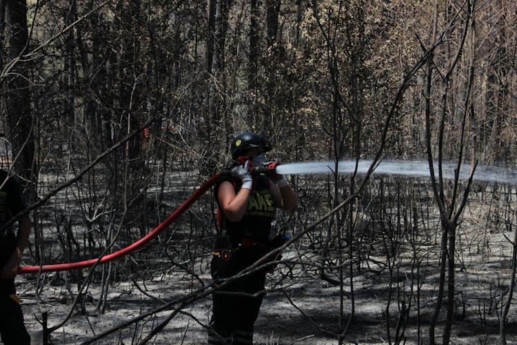 Person Holding A Fire Hose In The Woods