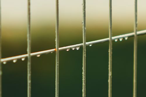Free Close-up of rain droplets on a fence with a blurred natural background. Ideal for abstract concepts. Stock Photo