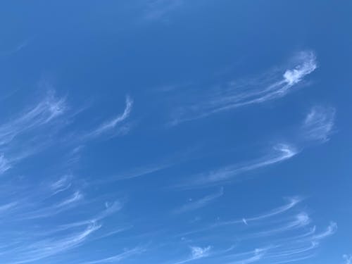 Free stock photo of blue sky, sky, sky and clouds