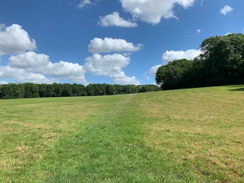 Free stock photo of cambridgeshire, clouds, england