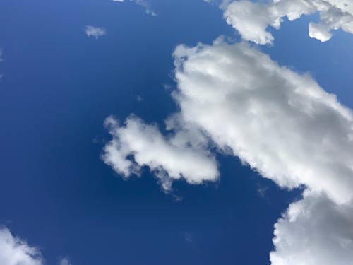 Free stock photo of blue sky with clouds, clouds, sky