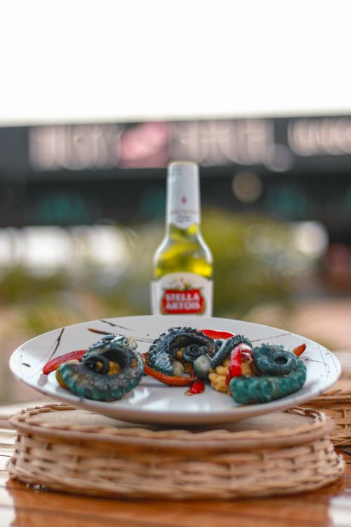 Free Fresh octopus dish paired with a cold beer outdoors in Villanueva, Colombia. Stock Photo