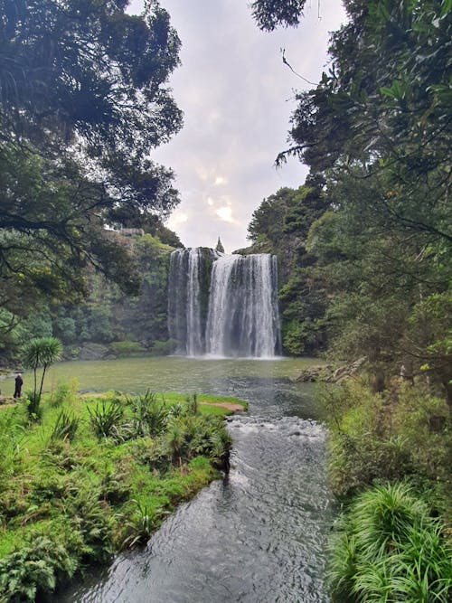 Waterfalls in the Middle of Green Grass Trees