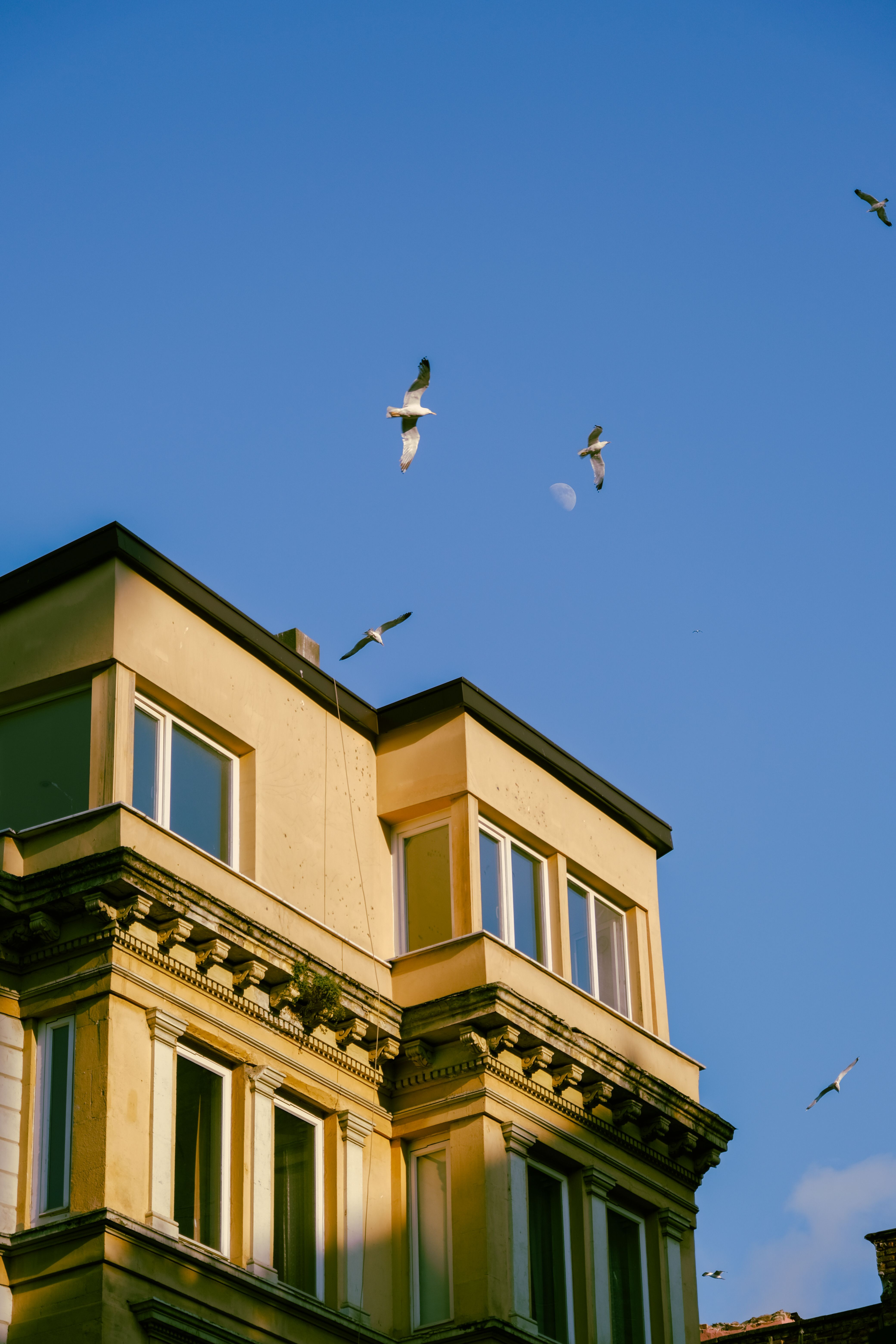 Facade of Residential Building · Free Stock Photo