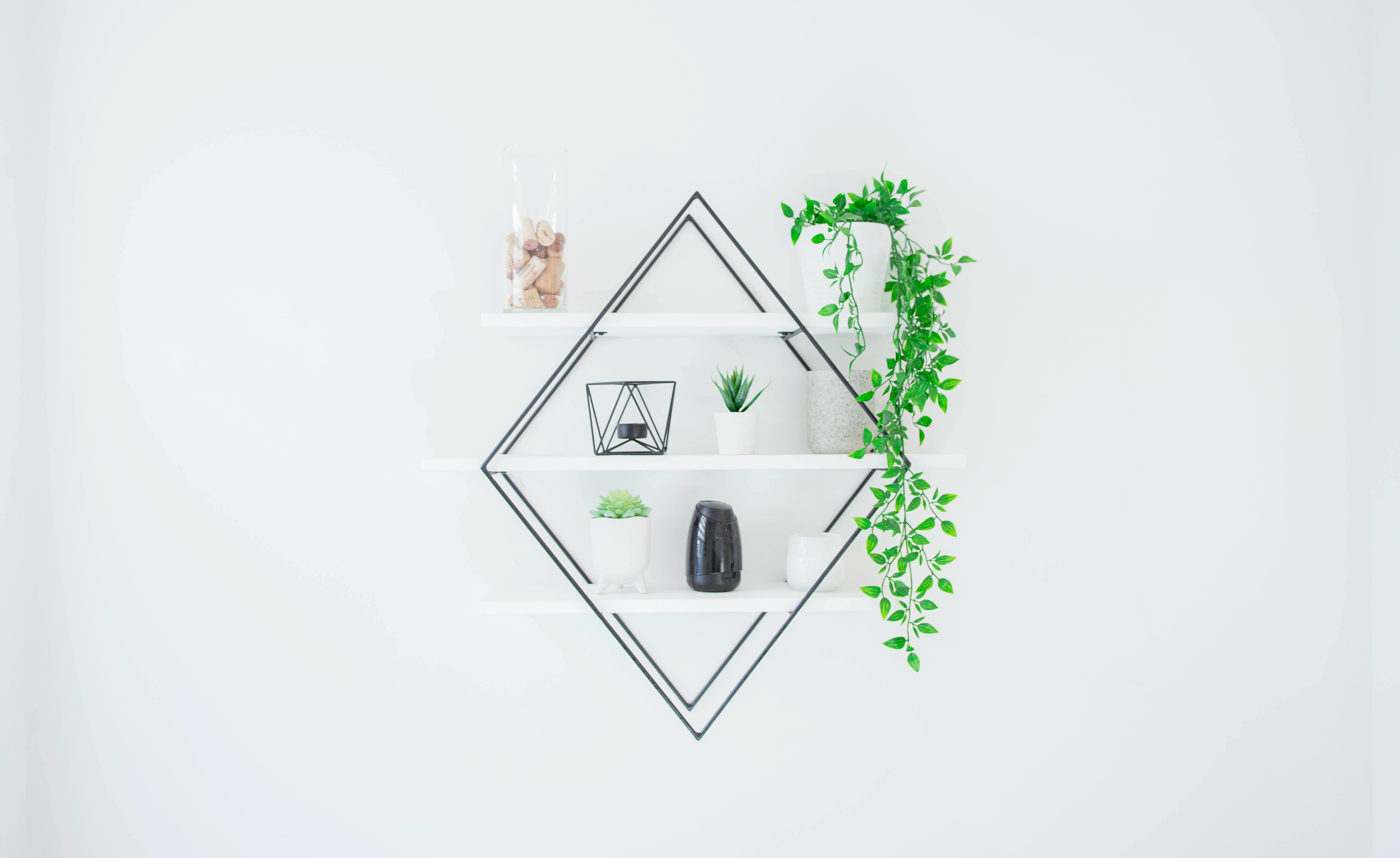 minimalist plant shelf - aesthetic plant bedroom ideas